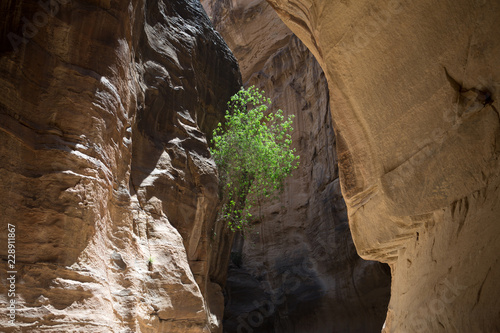 Valokuva Petra landscape