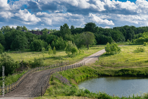 Bridge over the pond