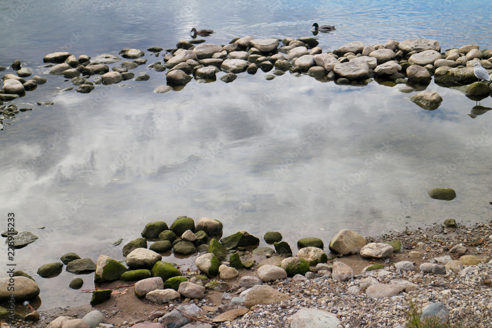 Obraz premium Oasis with ducks