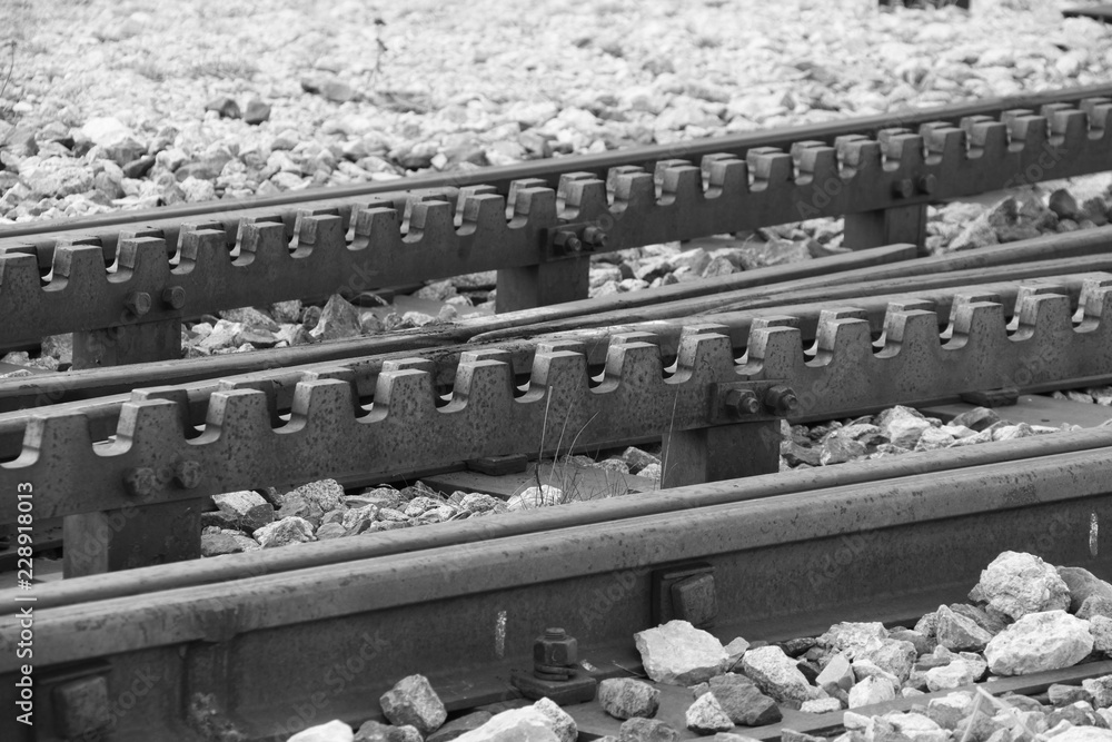 Obraz premium Zahradbahn Eisenbahngleise