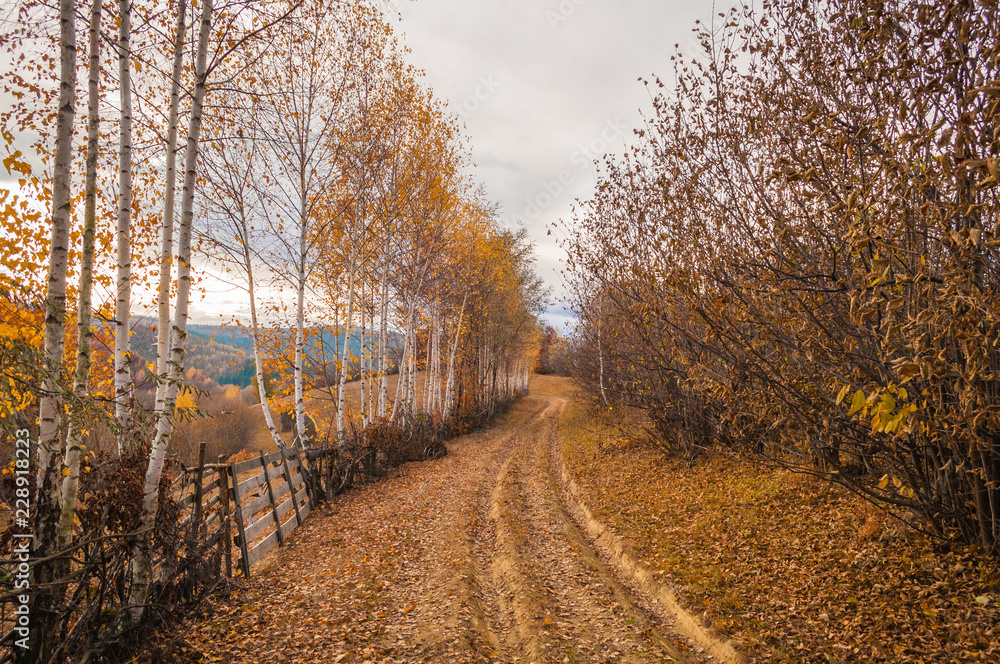 Naklejka premium Simple winding country path in autumn