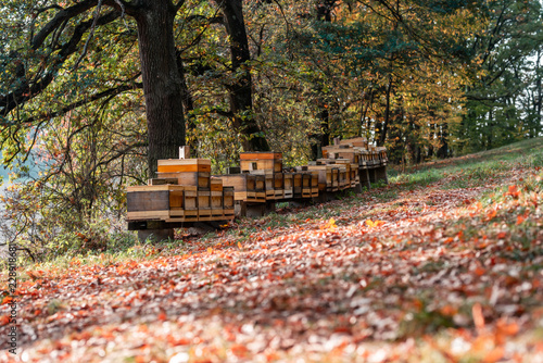 Bienenbeuten eines Imkers im Herbst photo