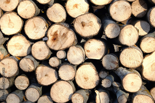 Many sawed firewood prepared and stacked in a pile as background front view closeup