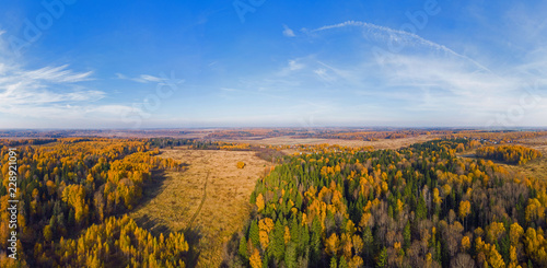Beautiful panorama of the autumn forest from the height