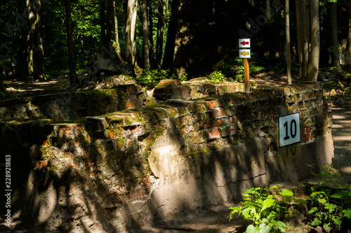 Fototapeta Naklejka Na Ścianę i Meble -  mazury