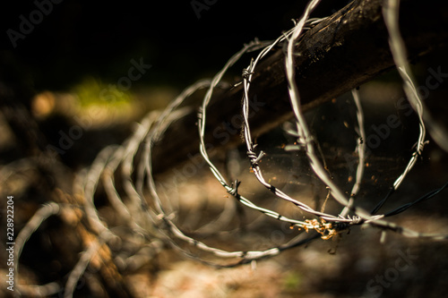 Fototapeta Naklejka Na Ścianę i Meble -  mazury