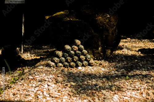 Fototapeta Naklejka Na Ścianę i Meble -  mazury