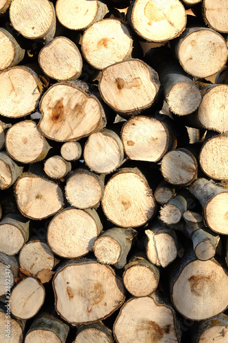 Many sawed firewood prepared and stacked in a pile as background front view vertical closeup