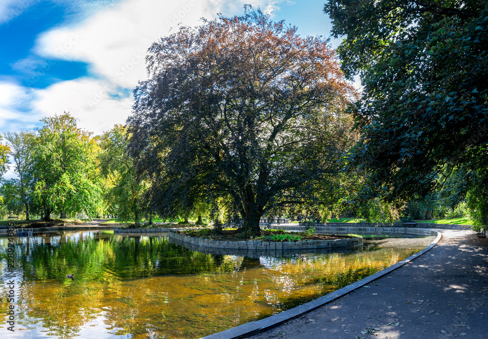 A view of a small shallow pond in the centre of Duthie Park, Aberdeen, Scotland