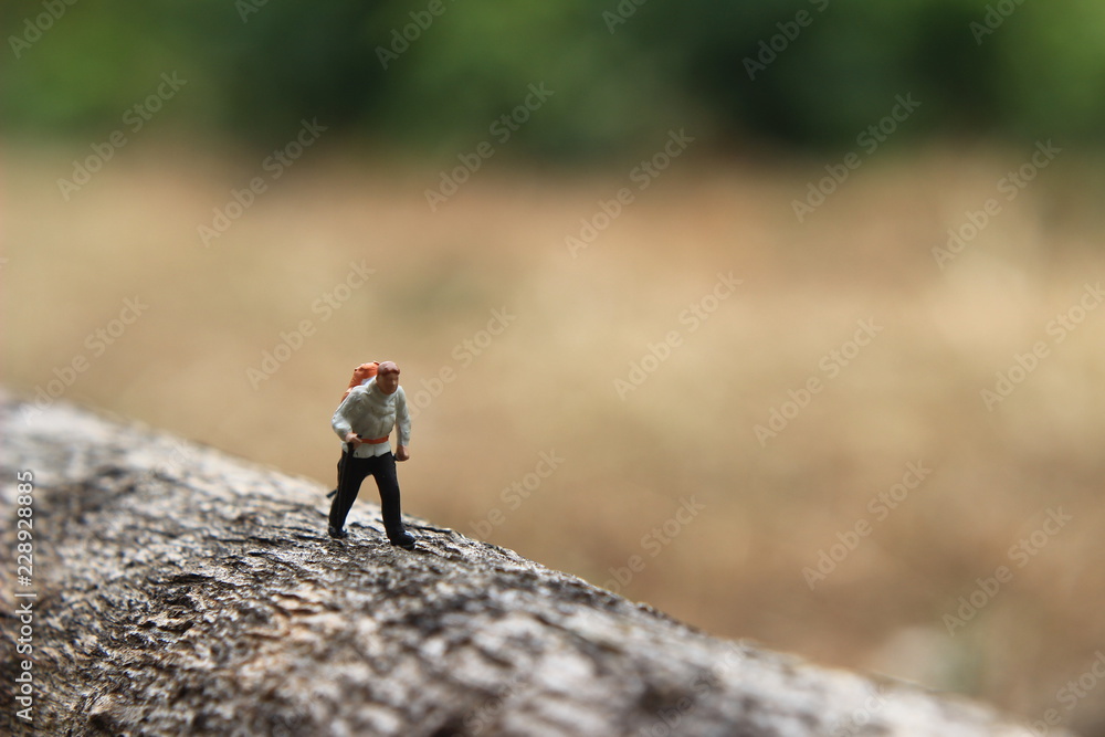 Mini Figure Hiker, walking at horizontal tree 