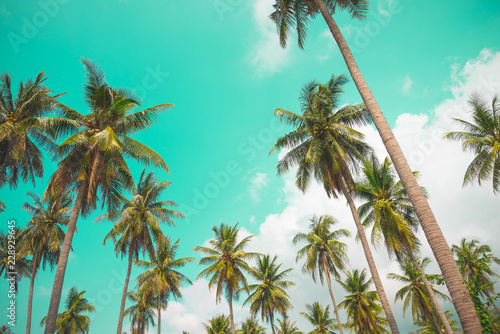 Coconut palm trees - Tropical summer beach holiday, Vintage tone