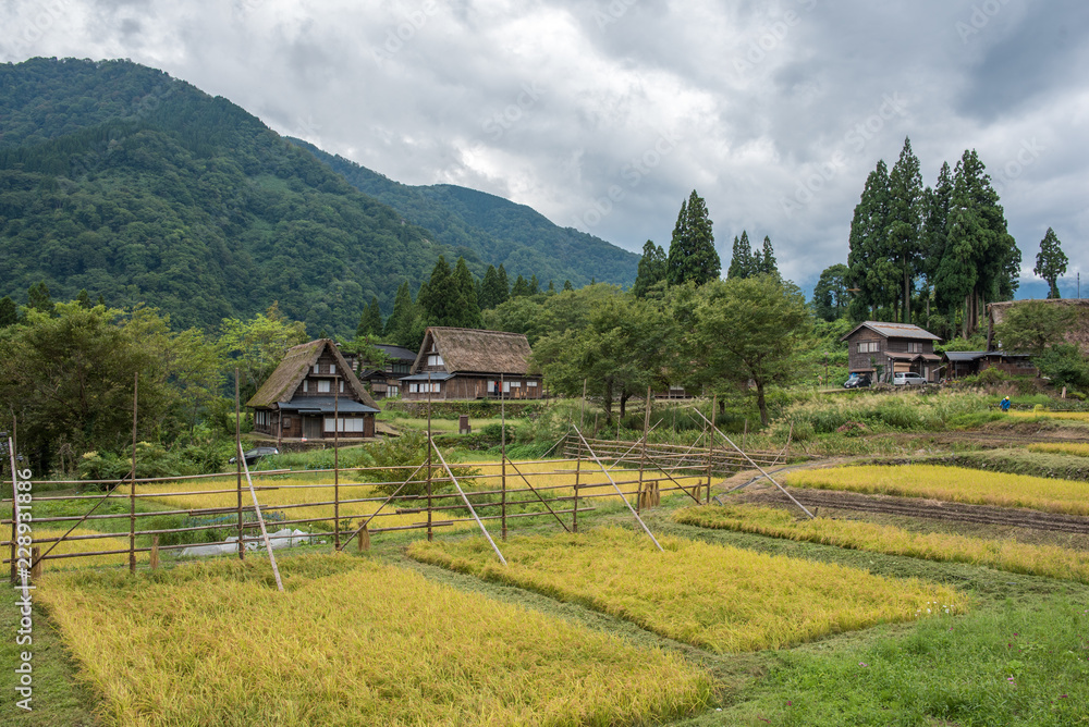 Gifu Gokayama (World Heritage Site in Japan)