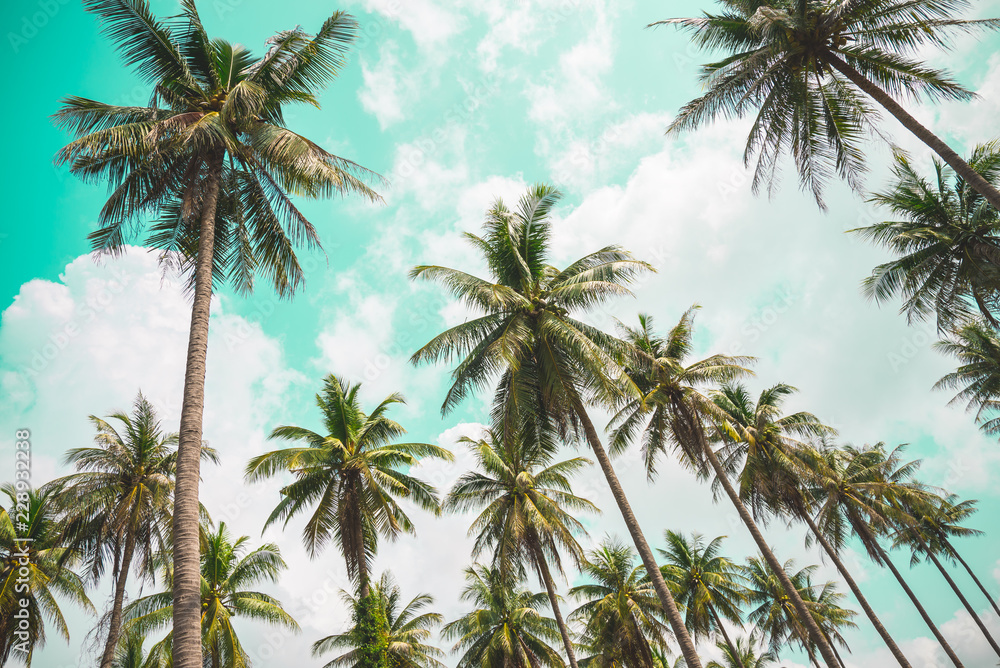 Coconut palm trees - Tropical summer beach holiday, Vintage tone