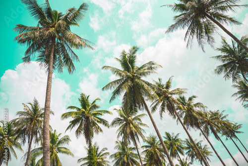 Coconut palm trees - Tropical summer beach holiday  Vintage tone