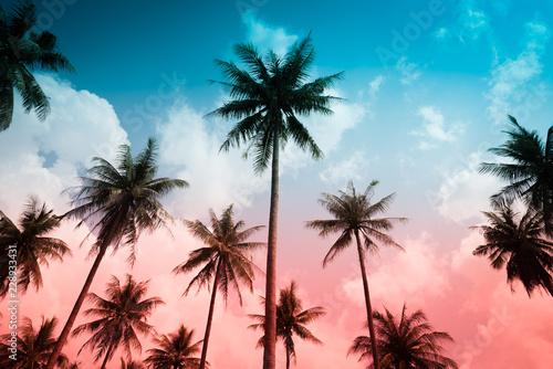 Coconut palm trees in sunny day - Tropical aloha summer beach holiday vacation concept, Color tone effect