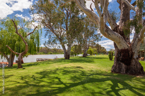 Landscape view of parkland on banks of the Murray River near Bowhill in South Australia. photo