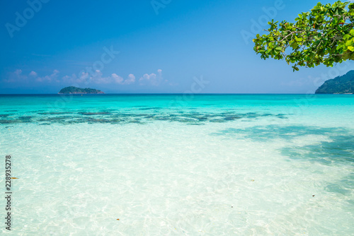 Fototapeta Naklejka Na Ścianę i Meble -  Crystal clear water of tropical island beach in sunny day - Summer breeze holiday