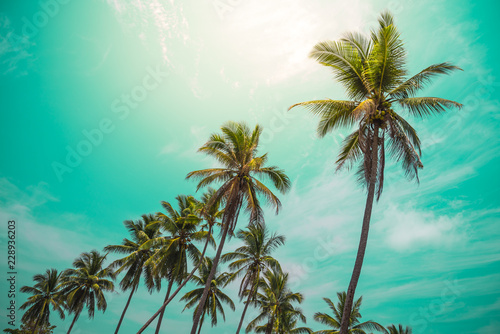 Coconut palm trees - Tropical summer beach holiday, Vintage tone