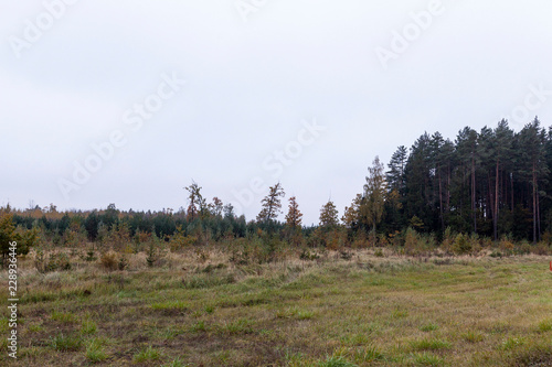 landscape autumn