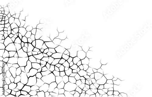 Earth cracks or networks of roots on white background. Concrete wall Texture design in grunge with stone polygon style.