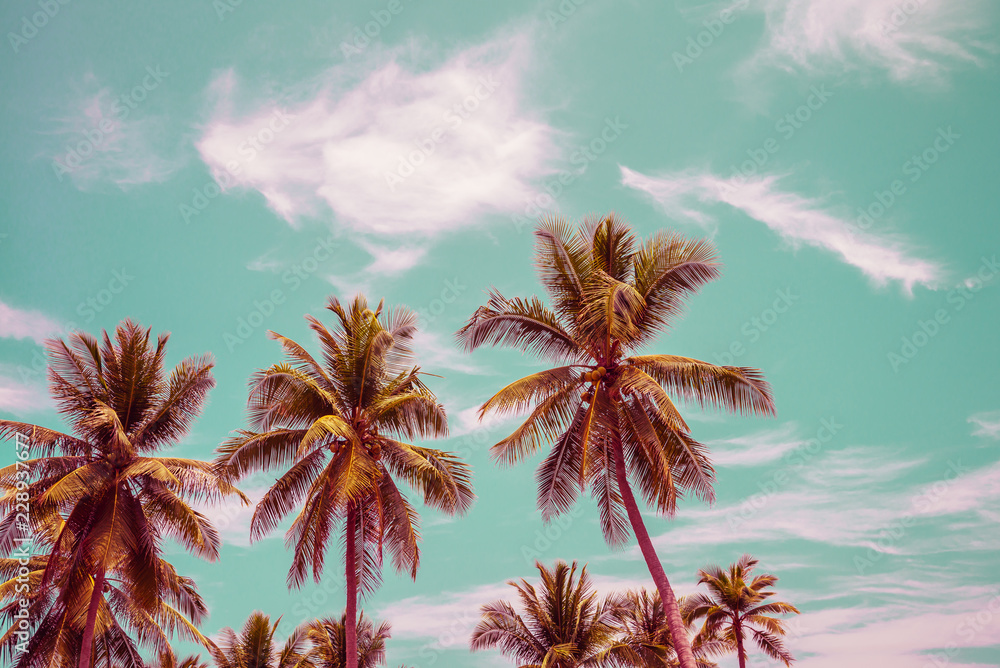 Coconut palm trees - Tropical summer beach holiday, Vintage tone effect