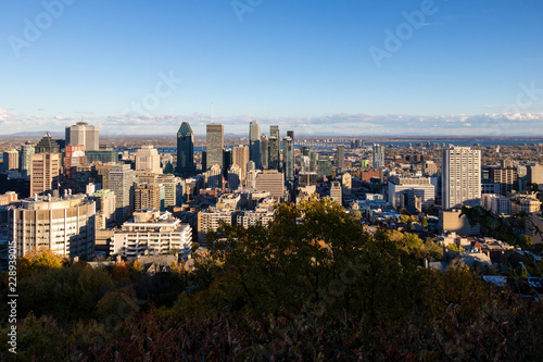 Downtown Montreal seen from the Mount-Royal.