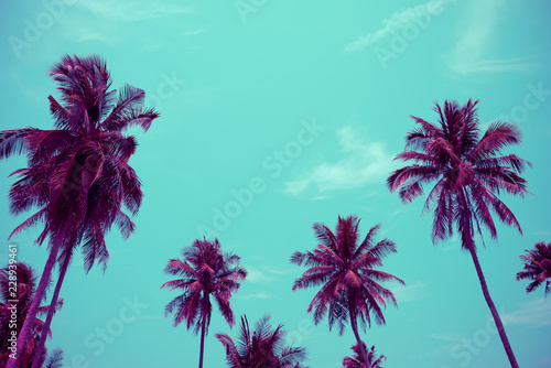 Coconut palm trees - Tropical summer breeze holiday, Color fun tone © pla2na