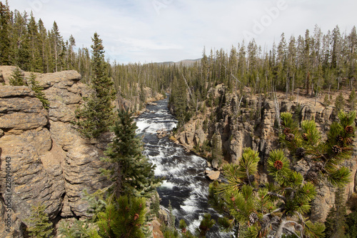 Mountain River through Cliffs with Rapids and Evergreens