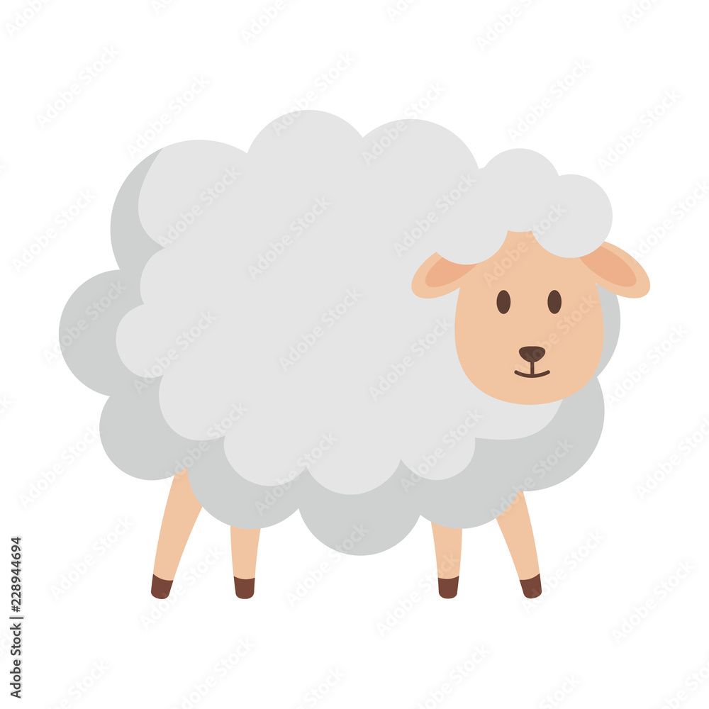 cute sheep farm character cute sheep farm character