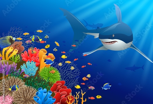 Sharks and coral reefs in the sea. underwater beauty. Vector illustration