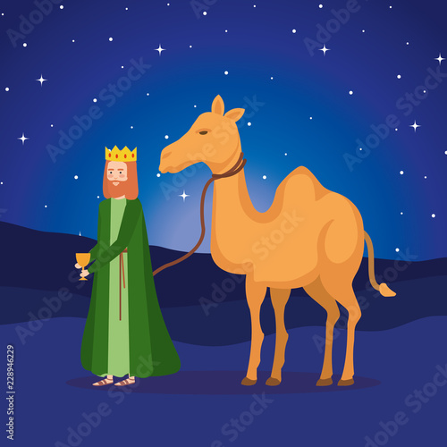 wise king with camel manger character