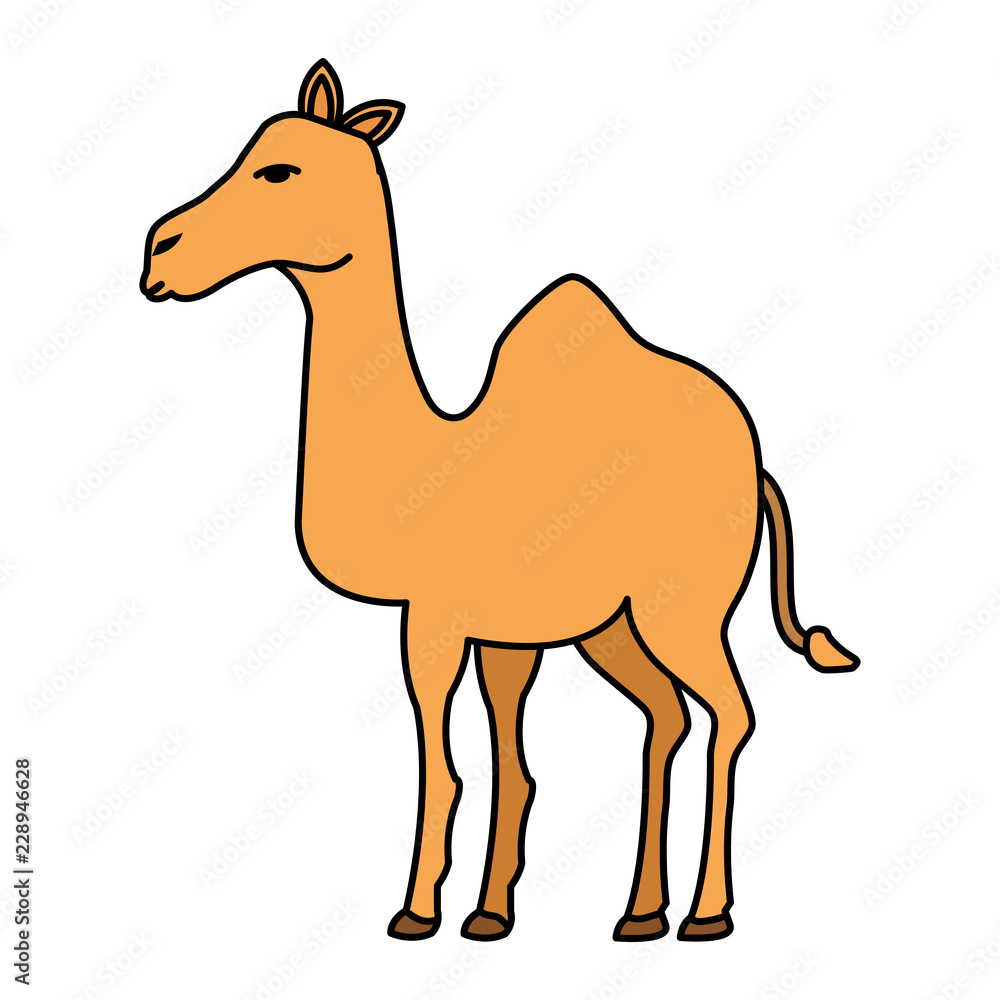 cute camel desert animal Stock Vector | Adobe Stock