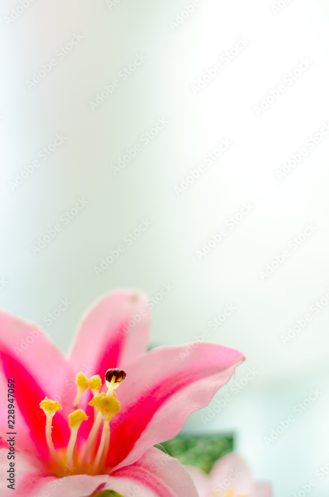 Beautiful artificial flowers on wooden background Beautiful artificial flowers on wooden background