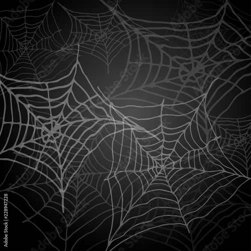 Vector illustration of cobweb lettering eps10