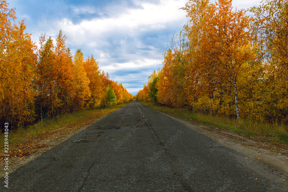Fototapeta premium Old asphalt road along the autumn forest