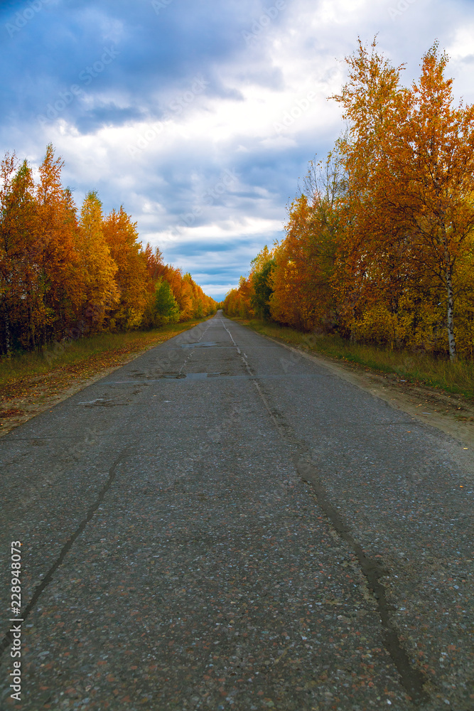 Fototapeta premium Old asphalt road along the autumn forest