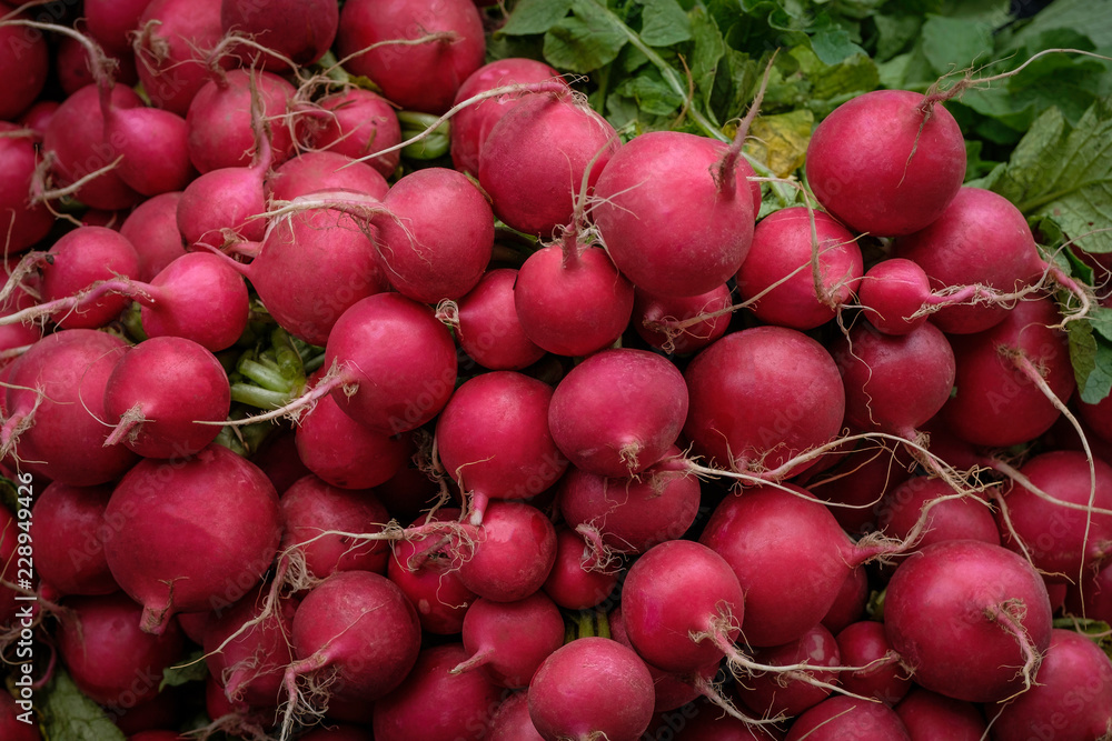 Red Radishes Found at the Farmer's Market Red Radishes Found at the Farmer's Market