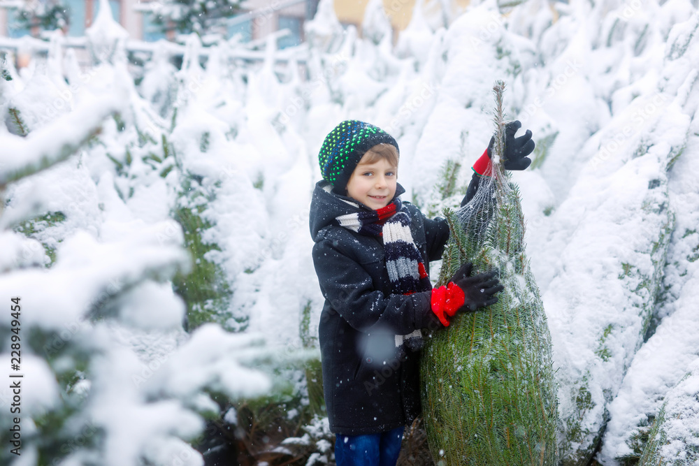 Funny little smiling kid boy holding christmas tree. Happy child in winter fashion clothes choosing and buying xmas tree in outdoor shop on snowy winter day. Family, tradition, celebration. Funny little smiling kid boy holding christmas tree. Happy child in winter fashion clothes choosing and buying xmas tree in outdoor shop on snowy winter day. Family, tradition, celebration.