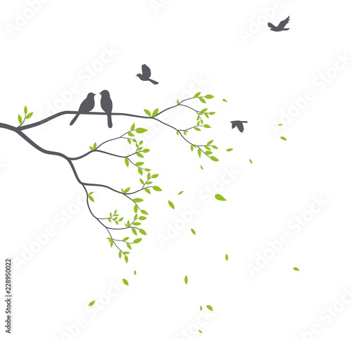 Beautiful tree branch with birds silhouette background for wallpaper sticker