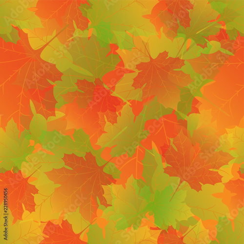Vector seamless background  a lot of maple autumn leaves