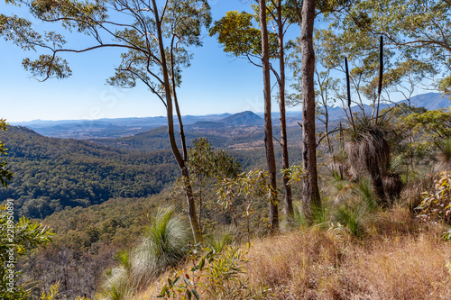 фотографія Australian bushland