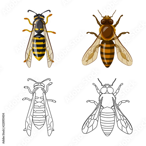 Isolated object of insect and fly logo. Collection of insect and element vector icon for stock.