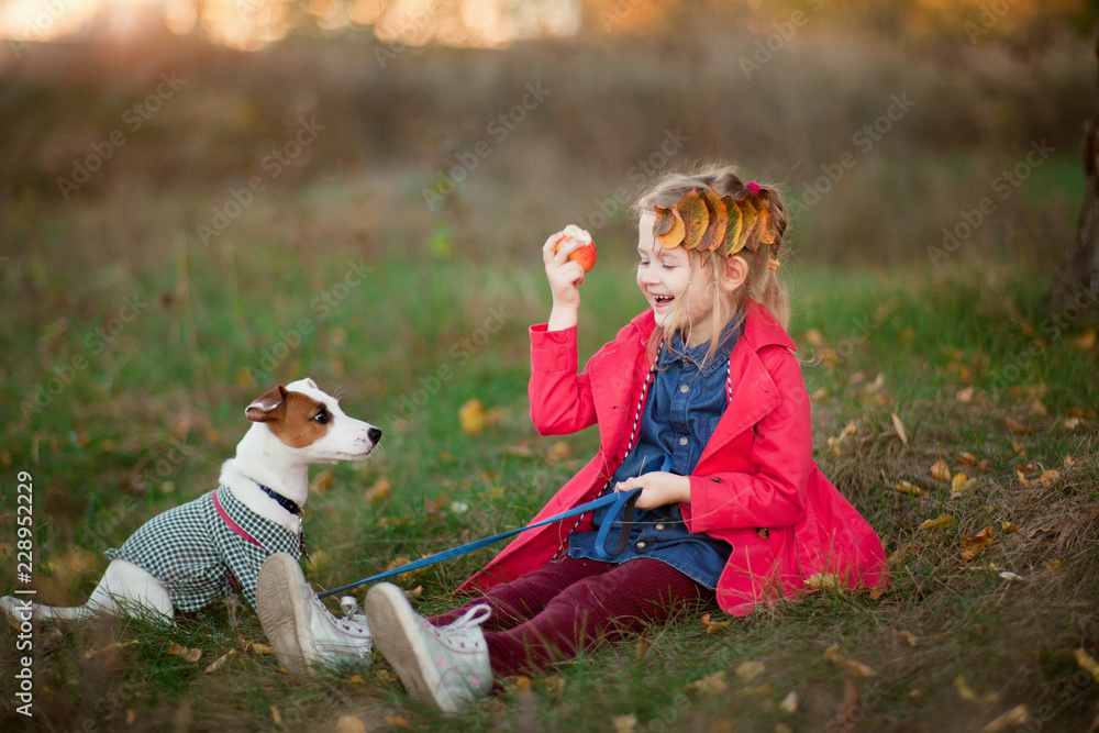 Fototapeta premium girl is training a dog
