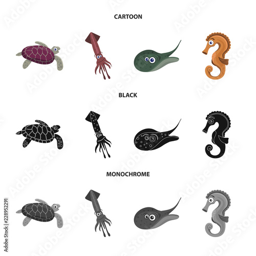 Vector design of sea and animal icon. Collection of sea and marine stock symbol for web.