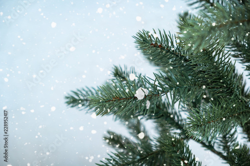 Closeup of Christmas tree with snow flake. Christmas and New Year holiday background. vintage color tone.