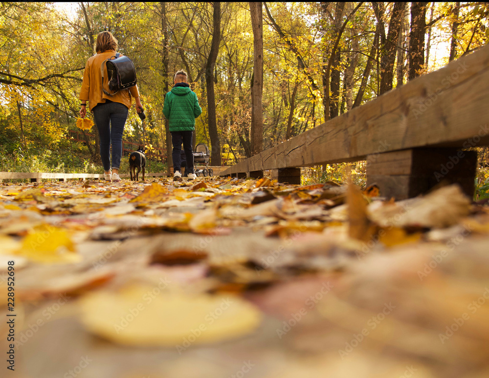 Family walk in a park in Moscow. Russia, October, 2018. Family walk in a park in Moscow. Russia, October, 2018.