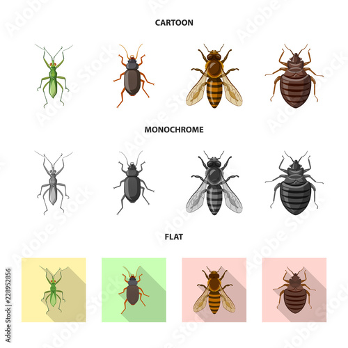 Vector design of insect and fly symbol. Set of insect and element vector icon for stock.