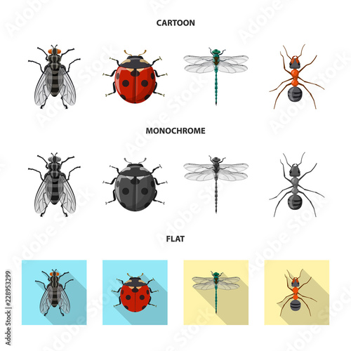 Vector illustration of insect and fly logo. Set of insect and element stock vector illustration. © Svitlana