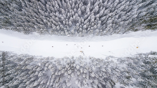 Aerial view of the ski slope in the mountains where skiers ride
