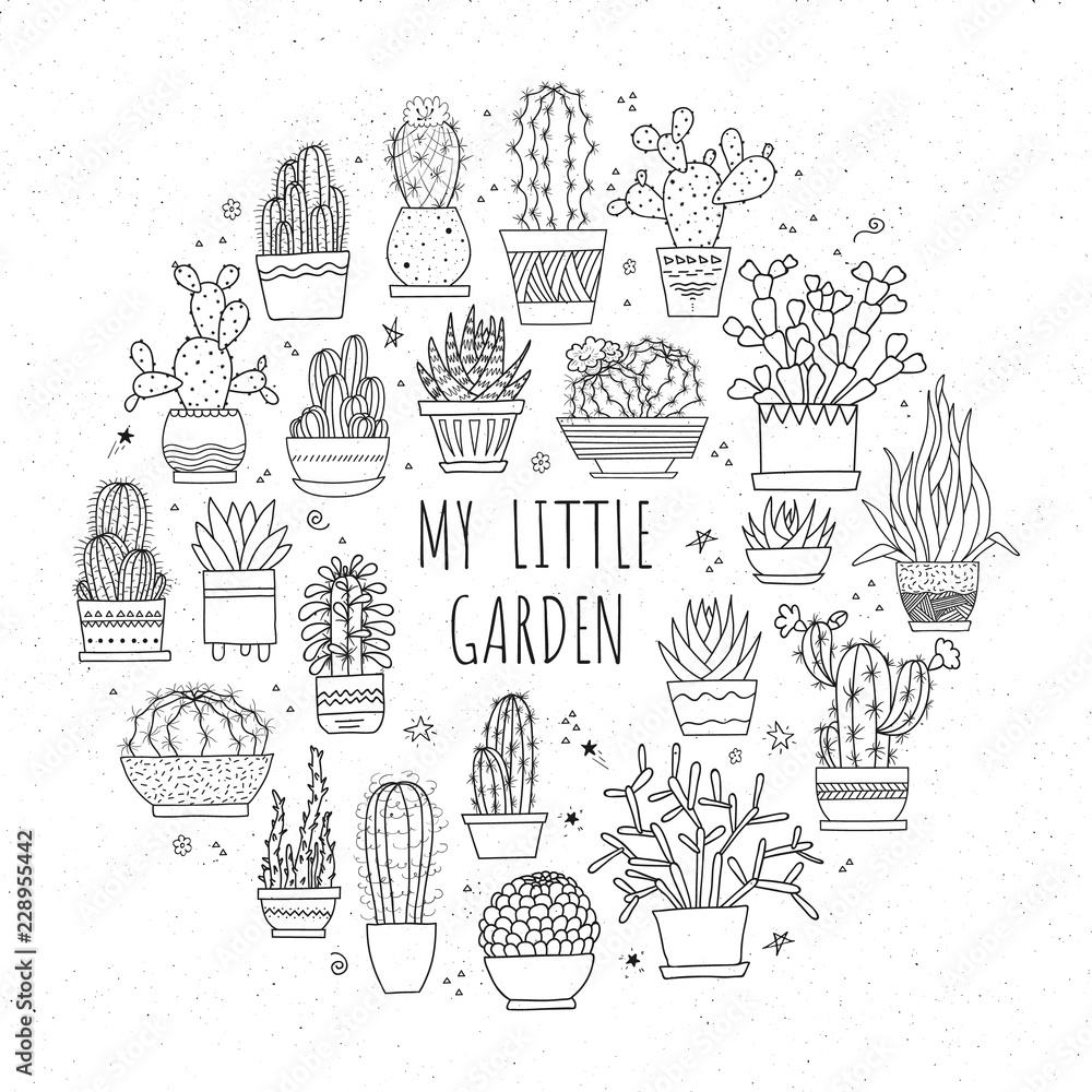 Collection of hand-drawn cacti and succulents in pots
